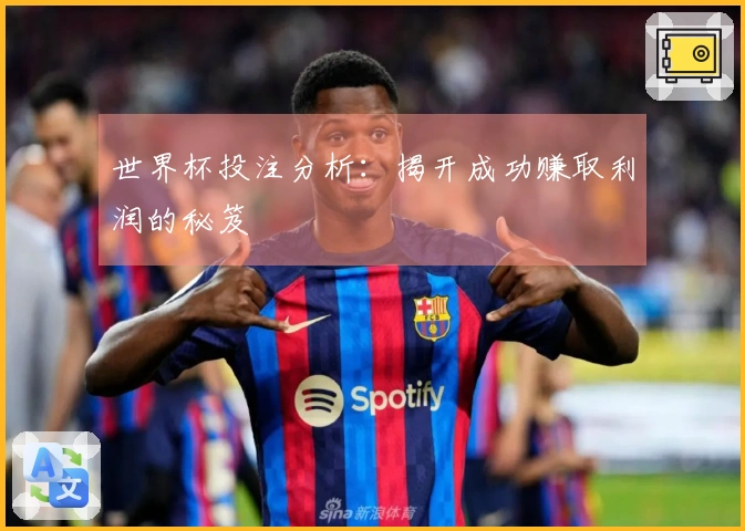 世界杯投注分析：揭开成功赚取利润的秘笈
