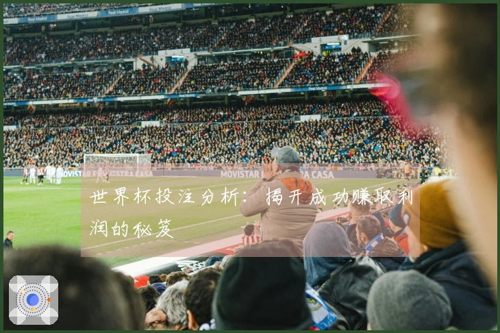 世界杯投注分析：揭开成功赚取利润的秘笈