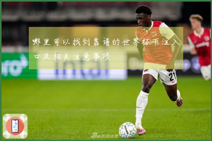 哪里可以找到靠谱的世界杯下注入口及相关注意事项