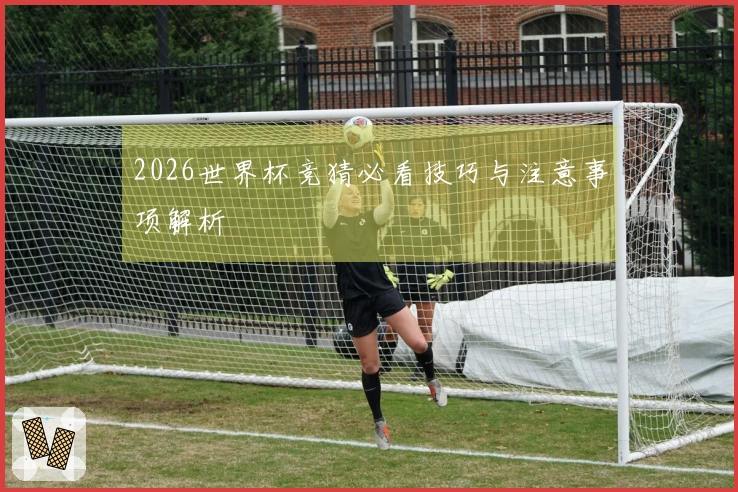2026世界杯竞猜必看技巧与注意事项解析