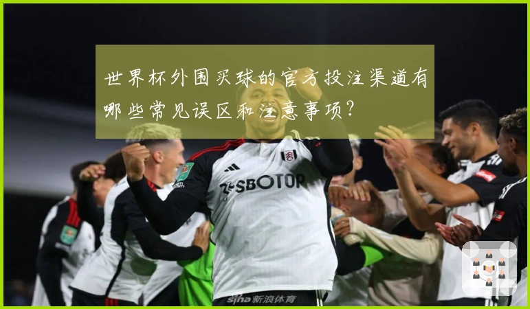 世界杯外围买球的官方投注渠道有哪些常见误区和注意事项？